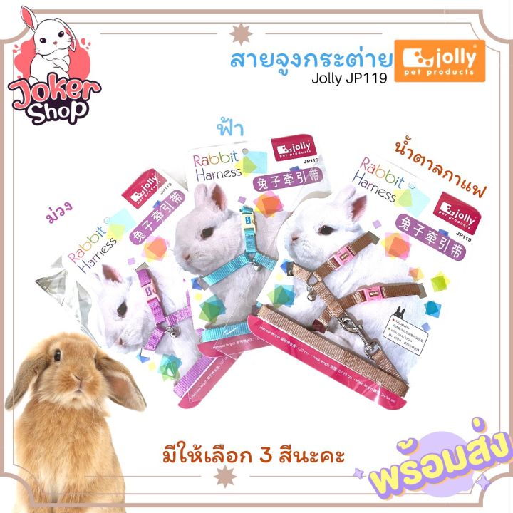 พร้อมส่ง-สายจูงกระต่าย-ยี่ห้อjolly-ปรับขนาดให้เข้ากับตัวน้องได้ค่ะ