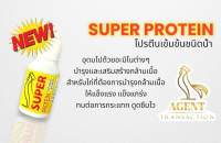 ซุปเปอร์ โปรตีน(Super Protein) อาหารไก่ชนวัยรุ่นตุรกี