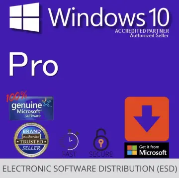 Shop Microsoft Windows 10 Professional with great discounts and prices  online - Nov 2023