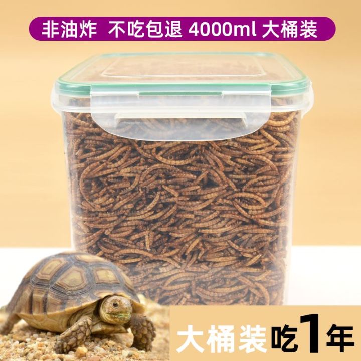 Turtle Snack Grains Mealworm Dry Tenebrio Molitor Parrot Little Hamster