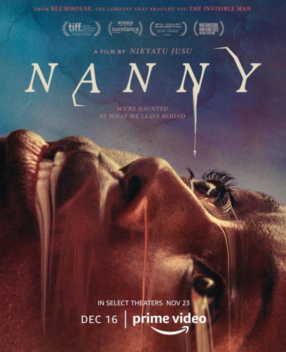 [DVD FullHD] Nanny : 2022 #หนังฝรั่ง (พากย์อังกฤษ/ซับไทย-อังกฤษ) ดราม่า เขย่าขวัญ ทริลเลอร์