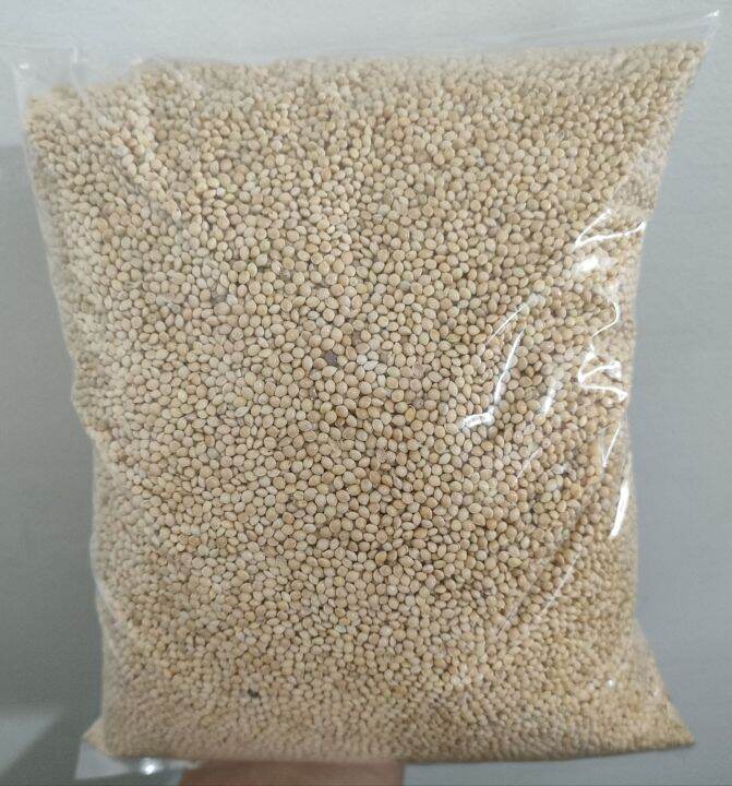 White Millet Bird Seed Repacked 1kg Lazada PH