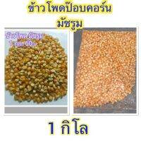 ข้าวโพดป๊อบคอร์นมัชรูม 1 กิโลกรัม