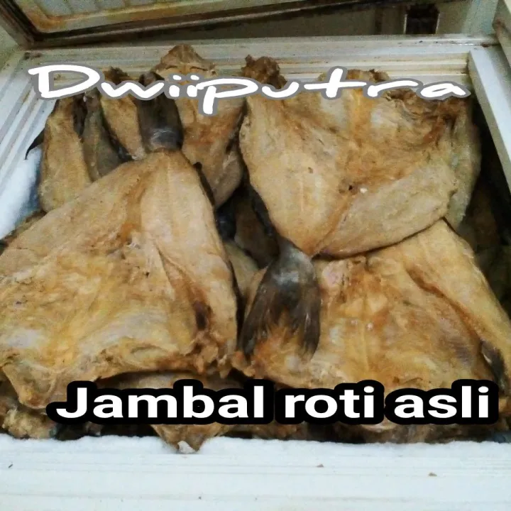 Ikan Asin Jambal Roti Asli Khas Pangandaran Lazada Indonesia