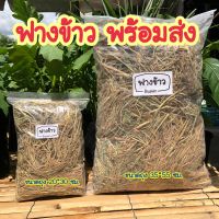 ฟางข้าว ฟางสัตว์เลี้ยง ร้านดินลดา สินค้าพร้อมส่ง