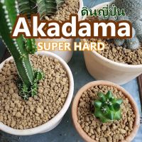 ดินญี่ปุ่น AKADAMA แบ่งขาย 1 ลิตร