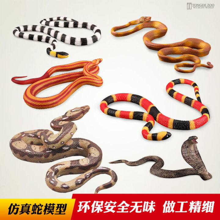Mua Mô hình con rắn đồ chơi bằng cao su độc đáo cho bé  Giao màu ngẫu  nhiên tại tongkhoxuantruong