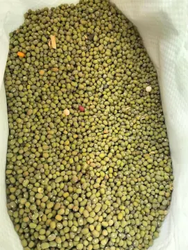 Shop Fresh Harbest Munggo Beans with great discounts and prices