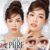 คอนแทคเลนส์ รุ่น mini Pure ยี่ห้อ Pretty doll / Pitchylens Size mini มีสี เทา ตาล สายตาปกติ