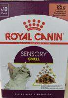 เพาท์แมวเปียก ยี่ห้อ รอยัลคานิน Sensory Smell cat in Gravy กลิ่นหอมพิเศษ ขนาด85กรัม (1แพ็ค/12ซอง)