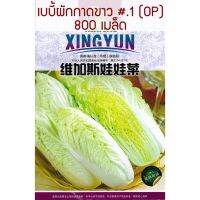 เมล็ด เบบี้ ผักกาดขาวปลี #.1 ( Baby Chinese Cabbane seed )  สายพันธุ์ OP บรรจุ : 800เมล็ด