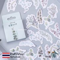 สติกเกอร์ลายใบยูคาลิปตัส สติกเกอร์ไดคัท ลายใบไม้ มี 45 ชิ้น สติ๊กเกอร์ สติกเกอร์น่ารัก sticker di-cut สติกเกอร์เกาหลี สติกเกอร์น่ารัก