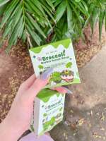 เปิดบิล10ก้อน สครับบล็อคโคลี่ สบู่บีริช Berich บล็อคโคลี่ Broccoli 35 g.