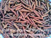 ดีปลีอบแห้ง Indian long pepper คัดพิเศษจากแปลงปลูกเกษตรอินทรีย์ผสมผสาน