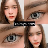 Iza gray เลนส์ตัดขอบลายชัดสีเทา สายฝอตาโตคม