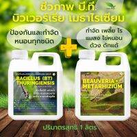 บีที BT บิวเวอร์เรีย เมธาไรเซียม ขนาด 1 ลิตร ชุด 2 แกลลอน Green Park กำจัดหนอน เพลี้ย แมลง บำรุง โตเร็ว ชีวภาพ ปลอดภัย เหมาะกับพืชทุกชนิด เช่น บอนสี ไม้ด่าง กล้วยด่าง พืชผักสวนครัว ไม้ผล ไม้ดอก