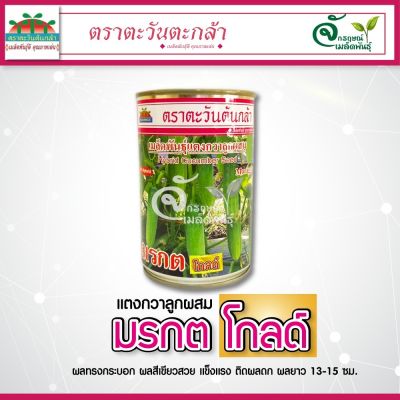 เมล็ดพันธุ์แตงกวา🥒 “ มรกตโกลด์ “🥒 ตราตะวันต้นกล้า 🌱มีขนาด 100 กรัม