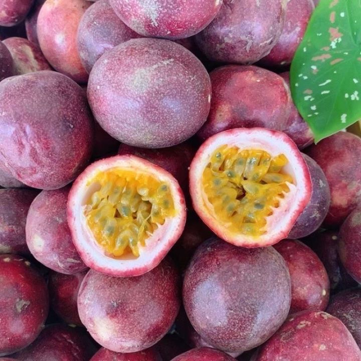 1-กก-เสาวรสพันธุ์ไทนุง-เก็บใหม่สดทุกวันจากสวนเชียงราย-passion-fruit-หวานอมเปรี้ยว