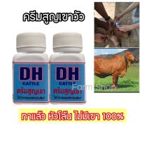 ครีมสูญเขา  ครีมทาเขาวัว DH สำหรับสูญเขาวัวแรกเกิด