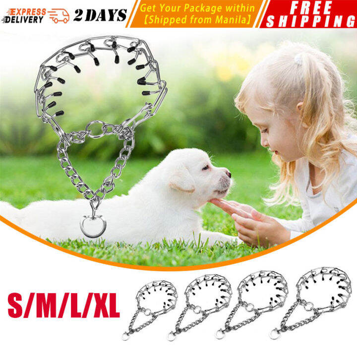 Effective Pinch Dog Training Collar with Comfort Rubber Tips Safe