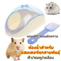 ห้องน้ำหนูแฮมสเตอร์ และหนูไจแอนท์ พร้อมช้อนตักทราย ส่งสุ่มสี (Y40#CSรุ่นทางเข้ากลม2ทาง)