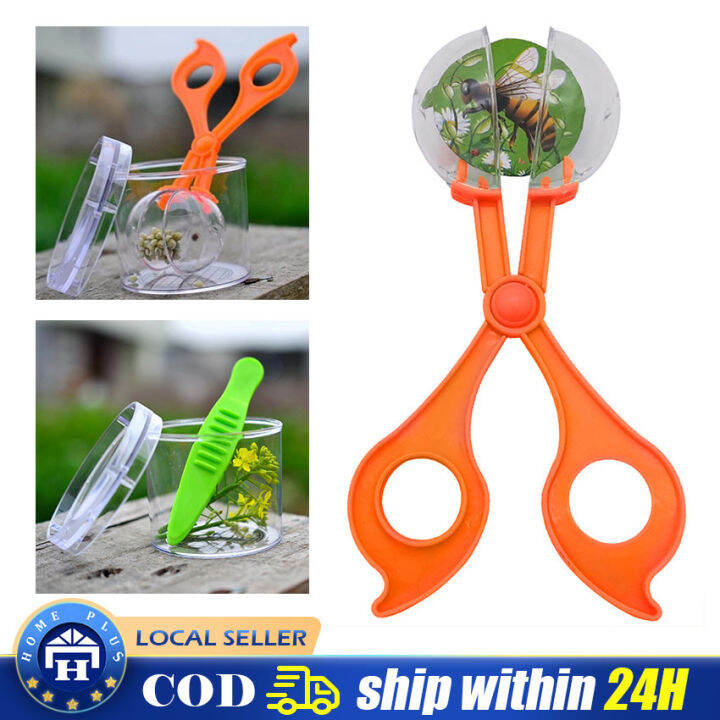 Children School Plant Insect Biology Study Tool Set Plastic