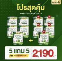 ?5 แถม 5 ?ส่งฟรี ‼️ ยูมิโกะ วีทกลาส อัลฟาฟ่า คลอโรฟิลล์ ไฟเบอร์ ดีท็อกซ์ ล้างลำไส้ ขับถ่ายง่าย ขนาดจัมโบ้ 200 กรัม