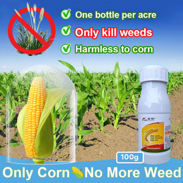 Suse🌽special For Corn Herbicide For Corn Grass Killer Chemical