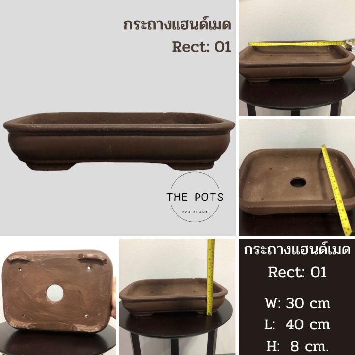 กระถางบอนไซ-กระถางชวนชม-กระถางปูนปั้นแฮนด์เมด-กระถางจัดสวนถาด-กระถางบอนไซขนาดใหญ่-กระถางปูนปั้นงานปั้นมือ-กระถางก้นตื้นใบใหญ่