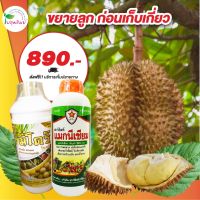 แม็กนีเซียม 30%  และ มิโดรริโกลด์