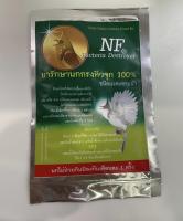 NF รักษา หวัด จาม โรคในระบบทางเดินอาหาร