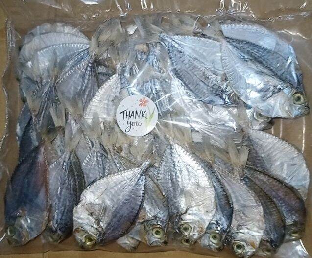Dried fish / sapsap na Tuyo 250g Lazada PH