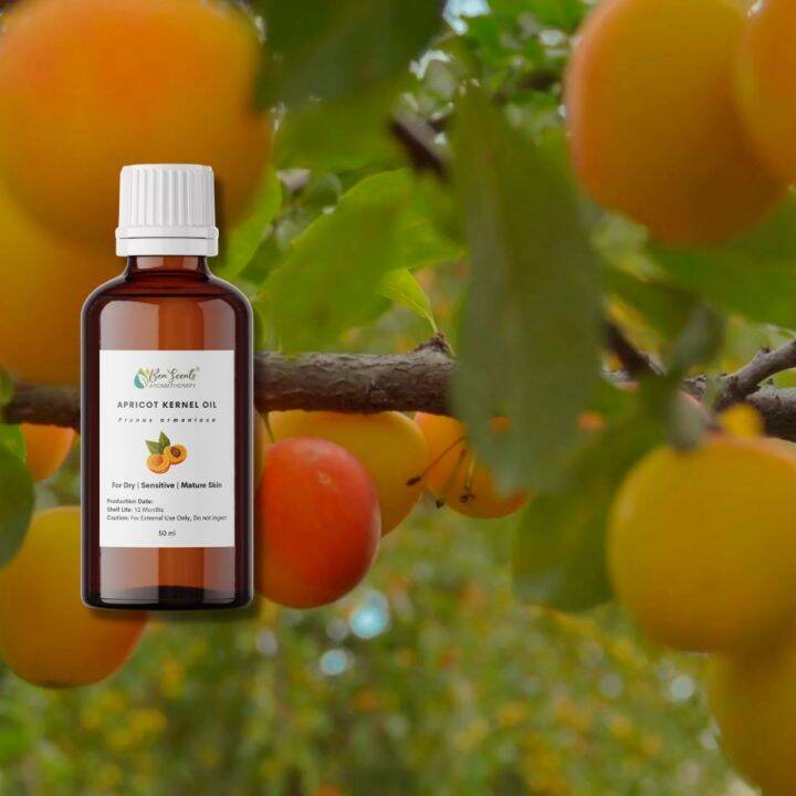 Apricot Kernel Oil For Dry, Sensitive and Mature Skin Lazada PH