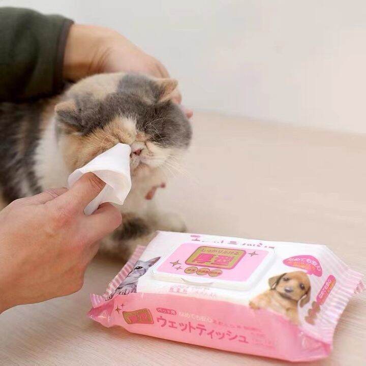 ทิชชู่สัตว์เลี้ยง-ทิชชู่เปียกสัตว์เลี้ยง-pet-wipes-สำหรับเช็ดสัตว์เลี้ยง-ทิชชู่เปียกเช็ดทำความสะอาด-จำนวน-80-แผ่น