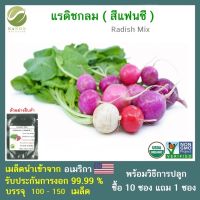 เมล็ดแรดิชกลม (สีแฟนซี)  จำนวน 100-150 เมล็ด