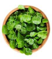 ผักวอเตอร์เครสตัดสด 100 กรัม (พร้อมทาน) Watercress Plant 100 g