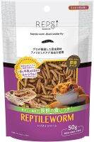 REPSi Reptile Worm 50กรัม หนอนเเมลงวันสำหรับสัตว์เลื้อยคลานคัดสรรมาอย่างดี