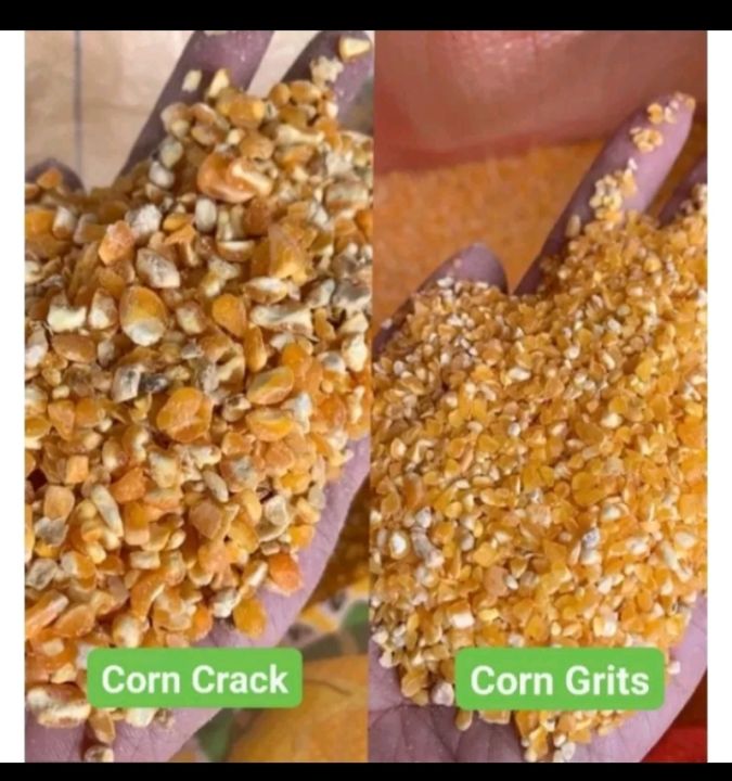 Corn Crack/Corn Grits for Chicken Feed | Lazada PH