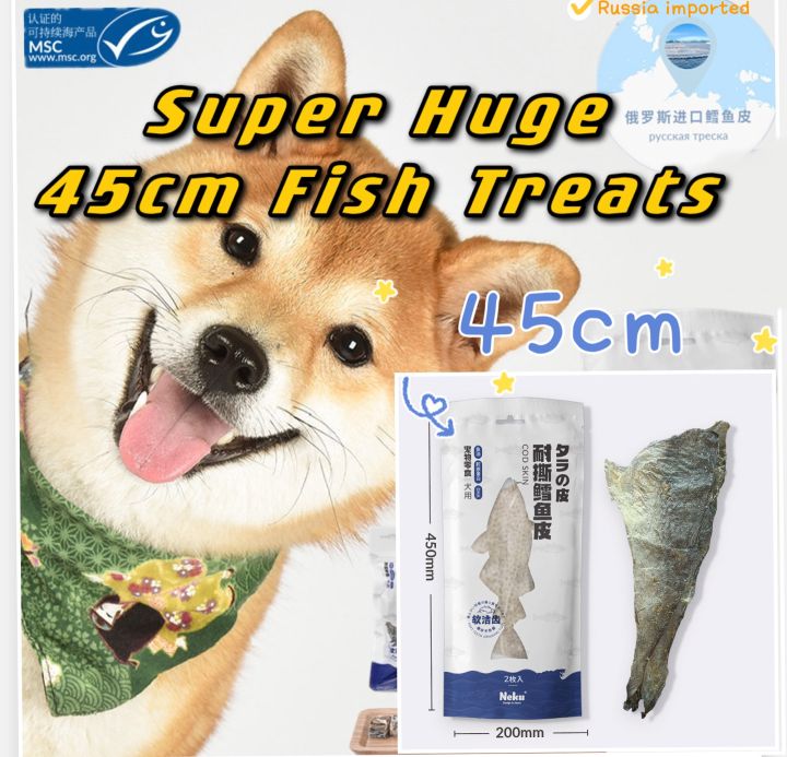 can you give dogs fish skin