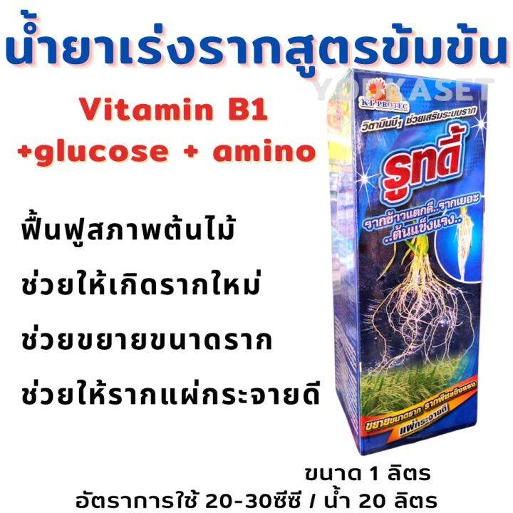 รูทดี้ น้ำยาเร่งราก สูตรเข้มข้นพิเศษ ขนาด 1 ลิตร Vitamin B1+glucose
