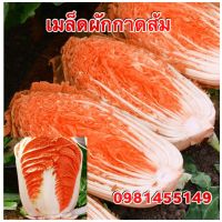 เมล็ดผักกาดสีส้ม1500 เมล็ด