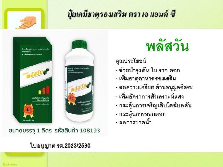 พลัสวัน-กรดอะมิโนที่มีส่วนประกอบของคีเลต-เสริมสร้างการเจริญเติบโต-บำรุงต้นบำรุงใบ-ขนาด-1-ลิตร-แถมฟรี-เดอะฮีโร่-7-ช้อน