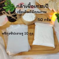 Buatongtempeh กล้าเชื่อเทมเป้ หัวเชื้อเทมเป้ พร้อมถุงซิปเจาะรู