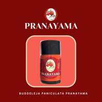 อโรม่าสมุนไพร กลิ่นบุดเดอเลอจา พานิชูลาต้า BUDDELEJA PANICULATA  PRANAYAMA