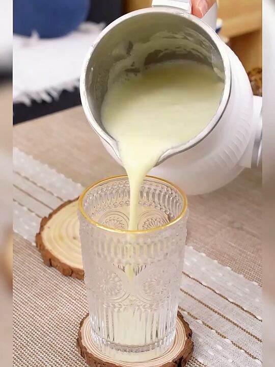 DAEWOO Soymilk Machine / Food Processor / Juice Maker (600ml) Mini Food