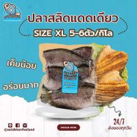 ปลาสลิดแดดเดียว Size XL ขนาด 5-6ตัวโล