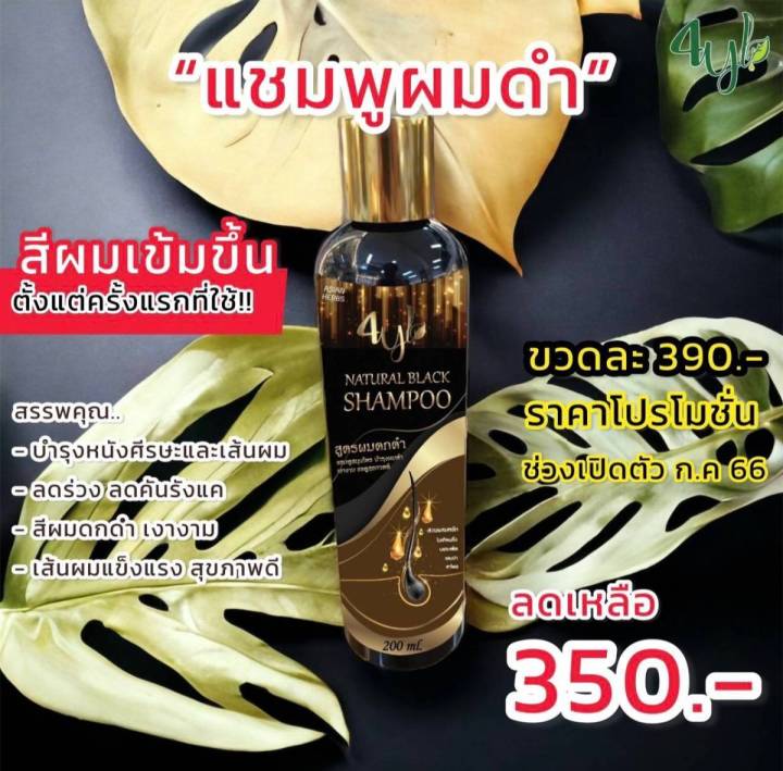 แชมพูปิดผมหงอก-byl-brand-shampoo-organnic-ใช้ดีบอกต่อ