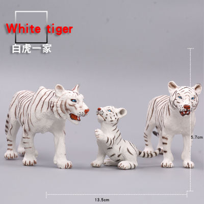 โมเดลสัตว์จำลองของเล่นโมเดลเสือขาวลายเสือขาวลายเสือขาวของเล่นเสริมทักษะการเรียนรู้สำหรับเด็ก