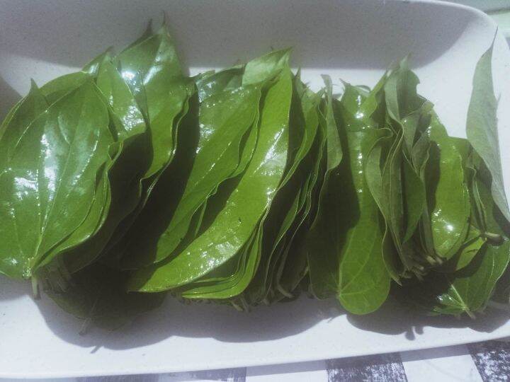 gawed | Lazada PH: Buy sell online Seaweed with cheap price | Lazada PH