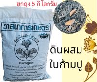 ดินใบก้ามปู 5 กิโลกรัม หมักอินทรีย์ ดินใบก้ามปู เพาะต้นกล้า ราคาถูกมาก